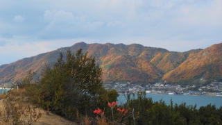 西岩岳からの風景