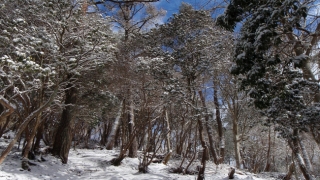 雪の剣尾山