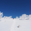 雪の霊仙山
