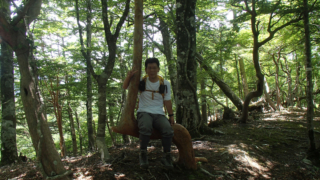 自然のブランコ　高塚山