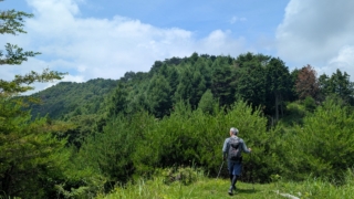 Thumbnail of post image 200