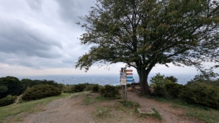 Thumbnail of post image 036