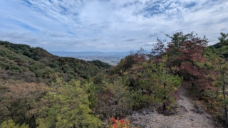 Thumbnail of post image 172