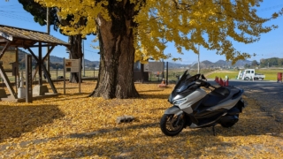 Thumbnail of post image 159