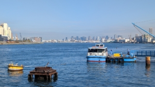 Thumbnail of post image 176