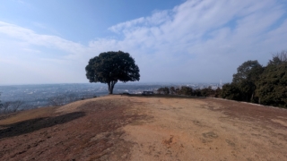 Thumbnail of post image 024