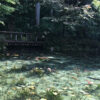 名もなき池（通称：モネの池）|日本の絶景 JTB 感動の瞬間（とき）