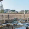 【島ヶ原温泉】三重県伊賀市の天然温泉・キャンプ・お食事